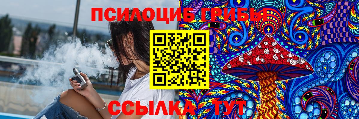 Псилоцибиновые грибы мицелий Белая Калитва